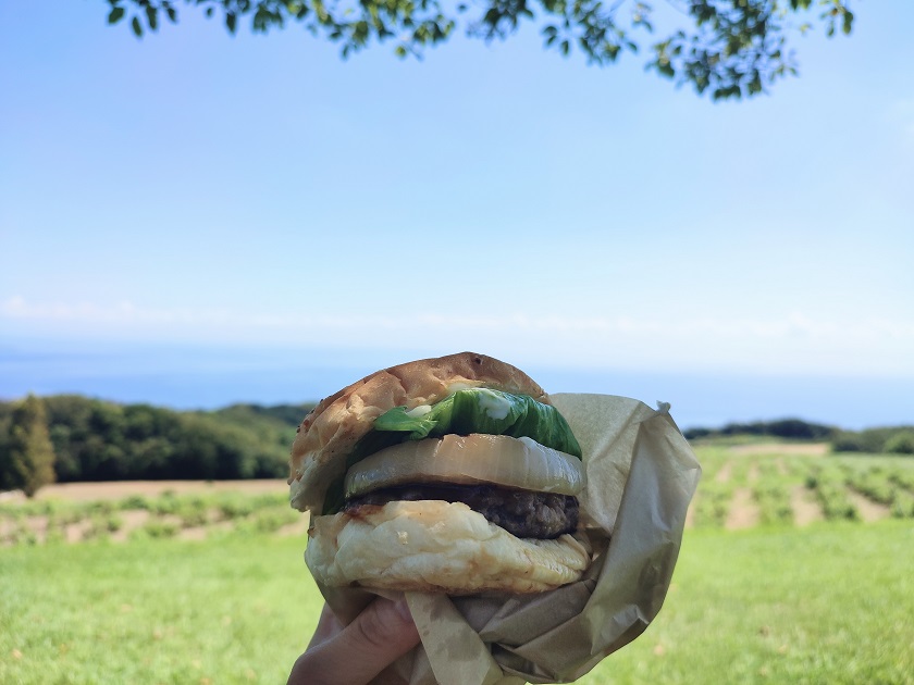 ピクニックのお供に◎オーブンレンジで簡単！肉巻きおにぎり（KOR-1802） コイズミオンラインショップ